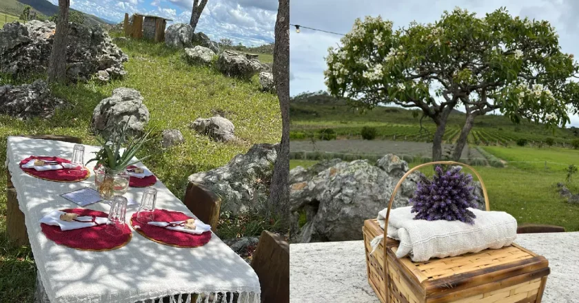 Diamantina estabelece um novo paradigma unindo agricultura, herança cultural e turismo vivencial