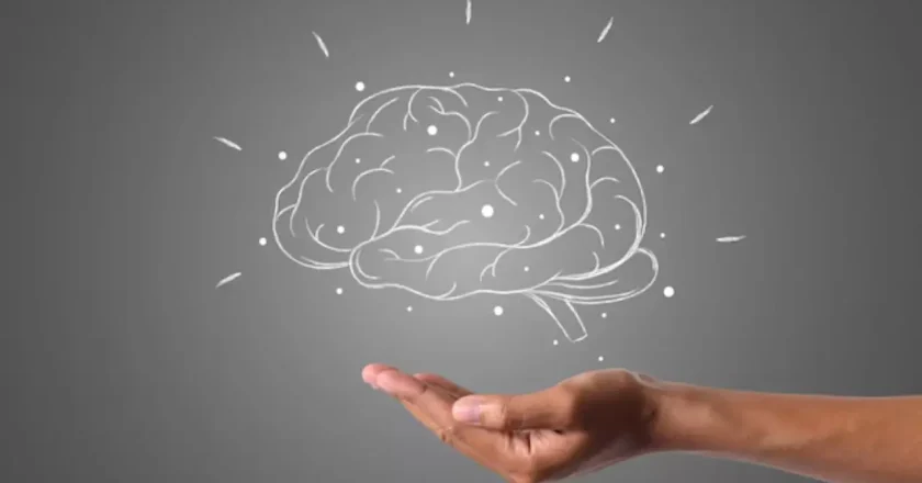 Células-tronco: Mitos e Verdades no Tratamento de Doenças Neurodegenerativas