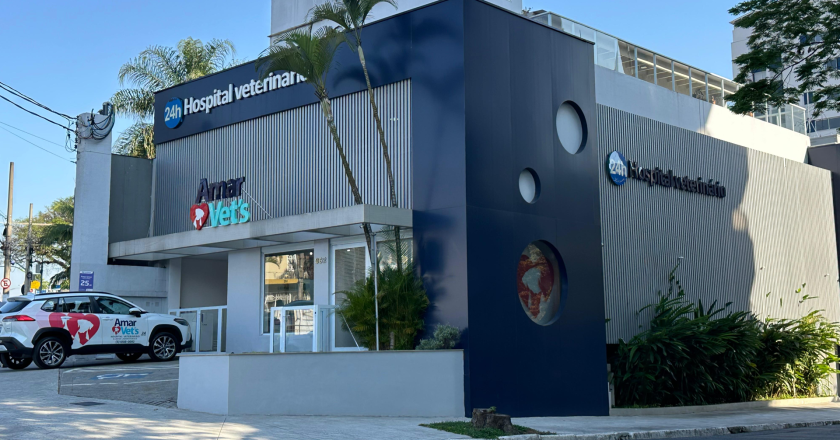 AmarVet une serviços de saúde avançados e iniciativa para estimular doação de sangue canina